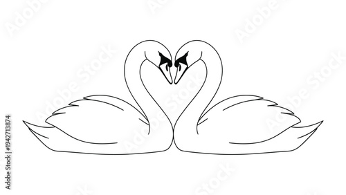 Love's Embrace: Two swans form a heart with their necks, symbolizing a romantic bond. Captured with elegant simplicity.