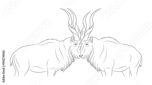 Magnificent Antelope Showdown: Two majestic antelope, their intricate horns locked in a moment of intense confrontation. Capturing the raw power and beauty of the animal kingdom.