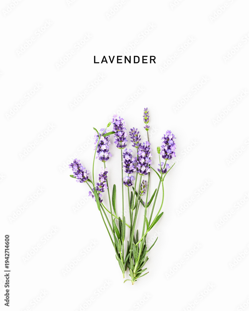 Obraz premium Fresh blooming lavender sprigs isolated on white background in minimal flat lay composition