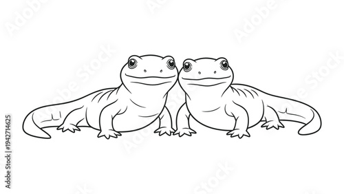 Smiling Salamander: A captivating illustration featuring two smiling salamanders, exuding a sense of friendliness and gentle charm. Perfect for projects seeking a touch of whimsy and nature's delight.