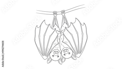 Hanging bat sketch: Sketch of two endearing bats hanging upside down from a branch, their delicate wings forming a charming pattern.