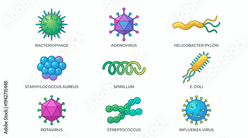 Set of colorful biological vector icons representing various bacteria and virus types, concept for medical education, science infographics and healthcare presentation