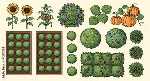 Garden Plants and Vegetables Vector Set