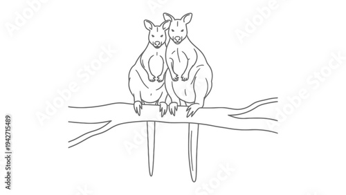 Cuddle of wallabies on branch: This illustration showcases a pair of adorable wallabies nestled together on a branch, capturing a moment of intimacy and companionship.