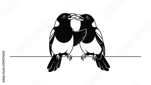 Magpies in Embrace: Two magpies, in a delicate monochrome illustration, share a tender moment of connection as they perch close, beak to beak on a subtle line. A symbol of harmony and affection.