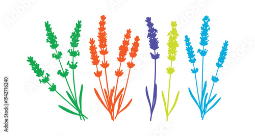 Decorative lavender plants set in vector graphic style.
