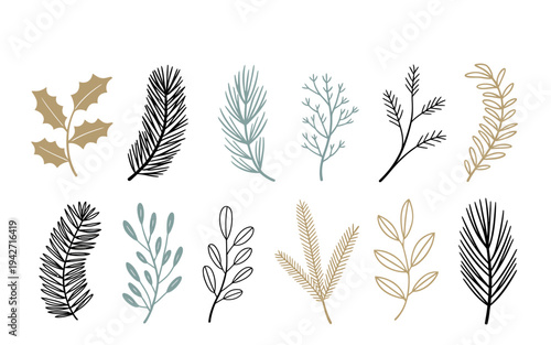 Collection of hand drawn botanical featuring pine needles holly leaves and delicate branches in muted colors