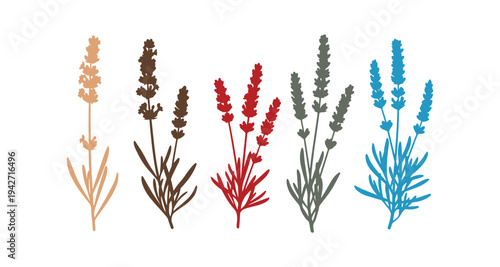 Collection of lavender blossoms in bright vector design.