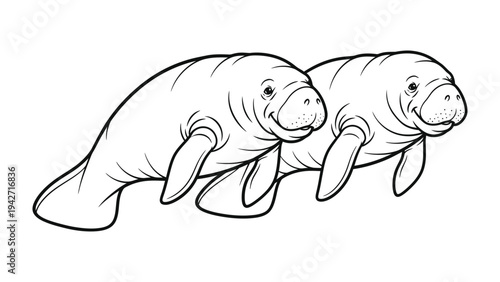 Gentle Aquatic Duo: Two serene manatees glide gracefully together, showcasing the gentle nature of these aquatic mammals. 