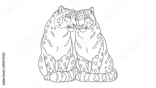 Leopard Embrace: Two snow leopards sit together, sharing an intimate moment, showcasing a connection in the wild.