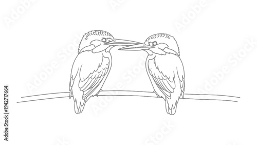 Two Kingfishers Perched Together: A delicate line drawing illustrates two kingfishers perched closely on a thin branch, their beaks almost touching.