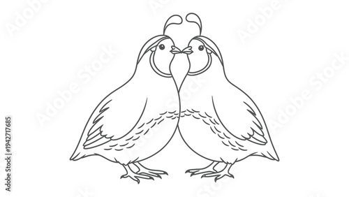 Quail Love: Two quails embracing each other in a symbol of enduring love, set against a pristine backdrop, it's a timeless symbol of affection and togetherness.