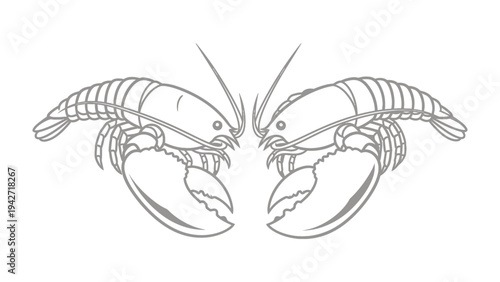 Lobster Illustration: A detailed line art illustration presents two symmetrical lobsters, their powerful claws and intricate shells creating a captivating visual representation of these crustaceans.