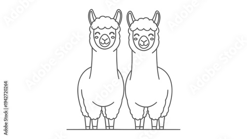 Adorable Alpaca Duo: A charming illustration depicts two friendly alpacas, standing side-by-side, radiating warmth and friendliness, with detailed line art, simplicity, and delightful character.