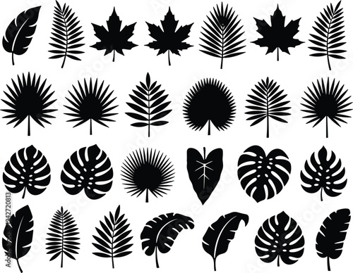 Tropical leaves silhouette vector collection, black botanical leaf icons set including palm, monstera and jungle foliage isolated on white background for nature designv