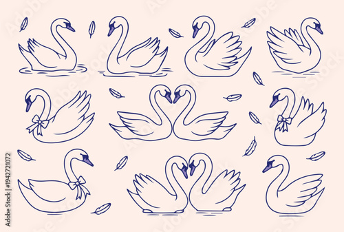 Collection of swans in various poses on pink background