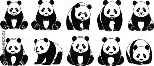 Collection of ten cute giant panda vector illustrations in various sitting and standing poses isolated on white background for wildlife design