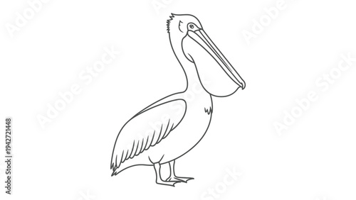 Outline Pelican Silhouette: An elegant, minimalist outline of a pelican showcases the bird's distinctive beak and form. A versatile illustration, perfect for educational or creative projects.