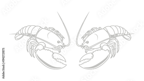 Lobster Showdown: Two crustaceans face off in a captivating pose. Lines create this illustration that shows the Lobster, a sea creature, in all of its glory.