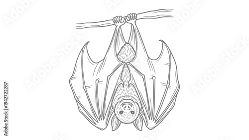 Bat Silhouette on a Branch: A detailed, monochromatic illustration showcases a bat, elegantly suspended upside down from a slender branch, captured with intricate linework.