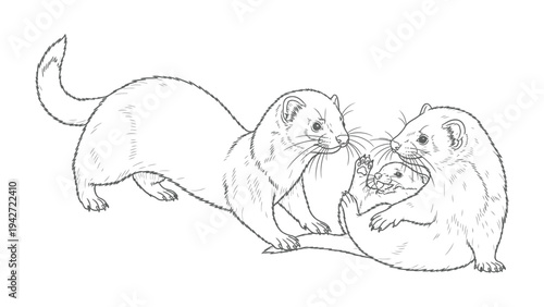 Weasel Family Line Art: A charming line drawing depicts a family of weasels, showcasing the playful interaction between a parent and two young ones, capturing a tender moment of kinship.