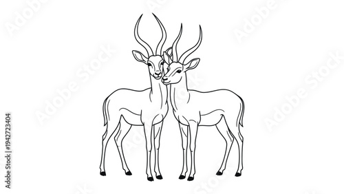 Elegant Gazelles in Embrace: Two graceful gazelles, their elegant horns intertwined, share an intimate moment of connection, showcasing the beauty and serenity of nature.