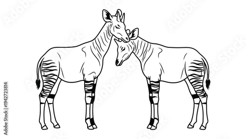 Okapi bonding illustration: A tender moment captured in an illustration of two okapis, their gentle touch expressing a deep connection.