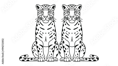 Symmetry of the Big Cats: Two majestic cheetahs sit side by side, creating a mirror image. This artistic display emphasizes the beauty and elegance of these magnificent creatures.