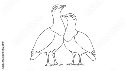 Two Birds Embrace: An illustrative portrayal of two birds, depicted with clean lines and a sense of connection, standing close together, their heads inclined towards each other.