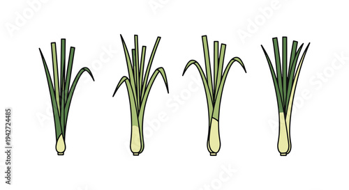 Lemongrass Line art vector creative vibrant abstract