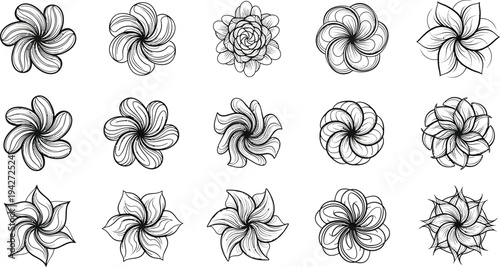 Black and white floral flowers line