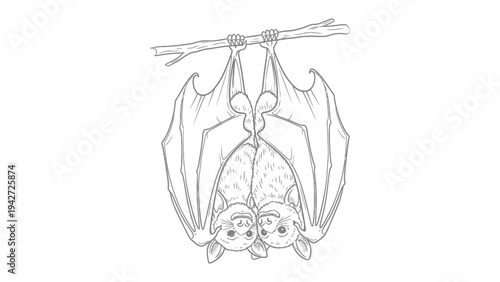 Pair of bats hanging from branch: A charming illustration depicts two bats clinging upside down to a branch, showcasing their unique anatomy and social bond.