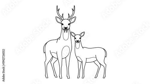 Deer Family Illustration: An illustration showcasing a majestic deer and its young one, standing side-by-side, radiating warmth and familial bond.