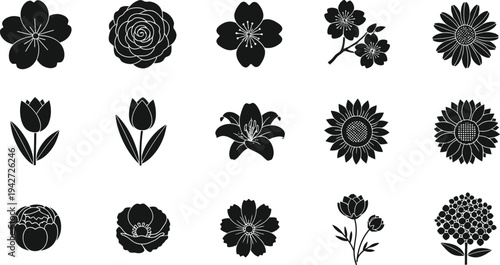 Black and white floral on white background flowers silhouettes 1
