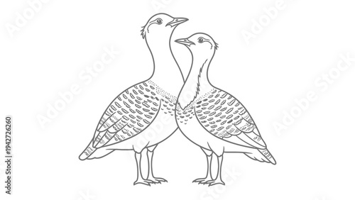 A Pair of Elegant Birds: Two graceful birds are standing close together, the intricate details of their feathers and refined features beautifully captured in a clean, artistic line drawing.