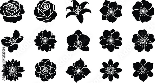 Black and white floral silhouettes on white background flowers 4