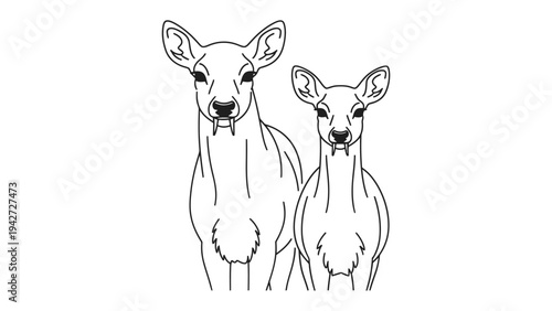Deer Duo: A charming black and white illustration depicts two deer, showcasing their delicate features and graceful form.