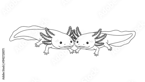 Axolotl Lovers: Delicate line art captures two charming axolotls in a moment of connection, the aquatic salamanders radiating innocence and wonder.