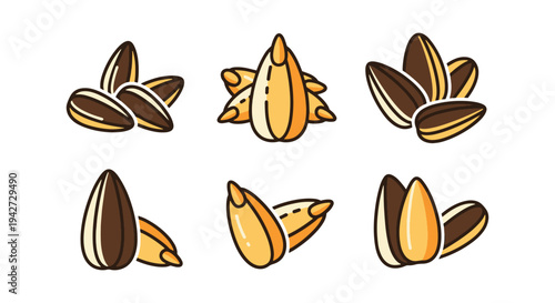 Sunflower Seeds Line art creative color harmony abstract illustration