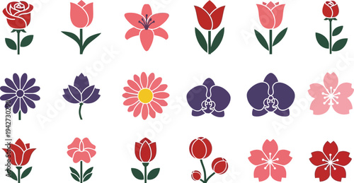 Colorful flower in pink red and purple on white background flowers