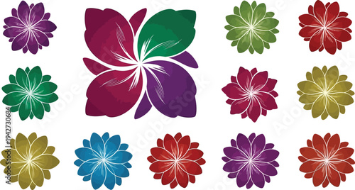 Colorful flower in various colors and sizes flowers petals white background