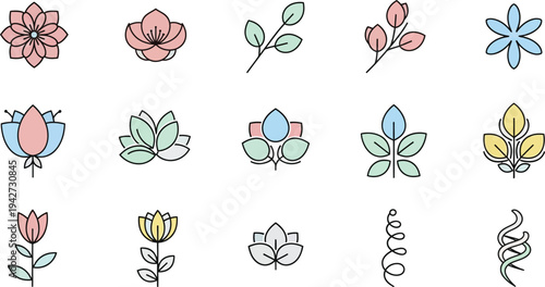 Colorful flower in various stages of bloom flowers blooms leaves stems