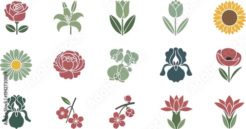 Colorful flower in various styles and colors flowers floral patterns shapes