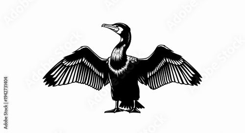 Black and white drawing of a cormorant with wings spread open
