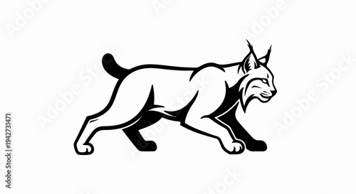 Black and white drawing of a lynx on a white background