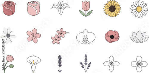 Various flowers in simple line botanical floral plants