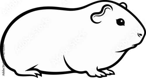 Black and white illustration of a guinea pig, front view
