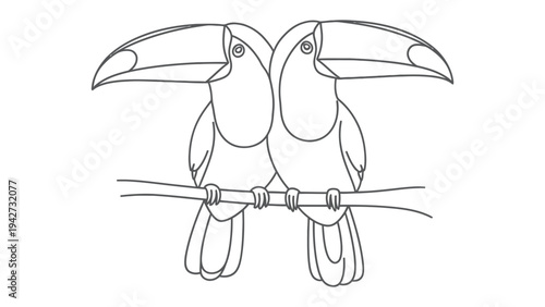 Two Toucans on Branch Illustration: A minimalist line drawing features two toucans perched side by side on a branch. The illustration captures the essence of tropical wildlife.