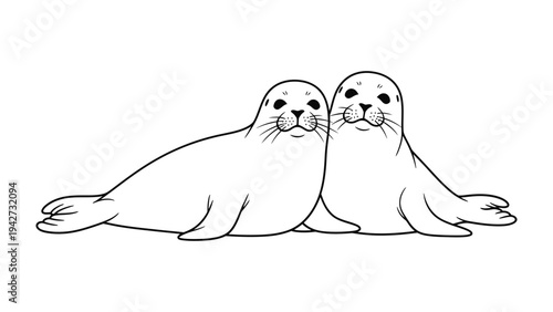 Seal Duo in Monochrome: A charming pair of seals are illustrated with simple line art and smooth shading against white canvas, symbolizing love and calmness.