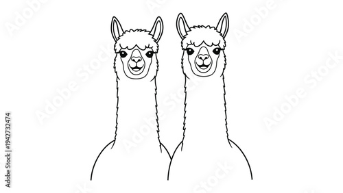 Twin Llamas' Portrait: Two adorable llamas stand side-by-side, their expressive faces and long necks captured in a simple and elegant monochromatic style.